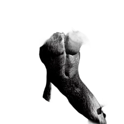 shoes, animal, weapon, hair transparent PNG cut-out