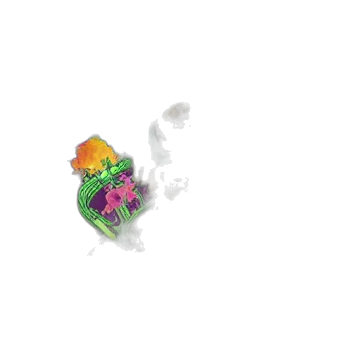 flower, crown, hat, jewelry transparent PNG cut-out
