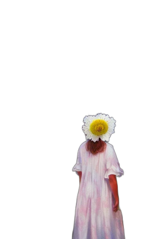 dress, flower, mask, hat transparent PNG cut-out