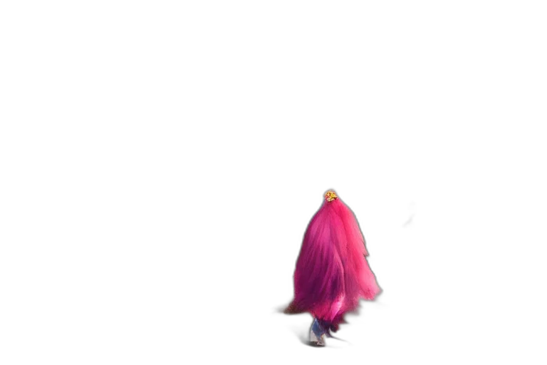 hair, creature, animal, dress transparent PNG cut-out