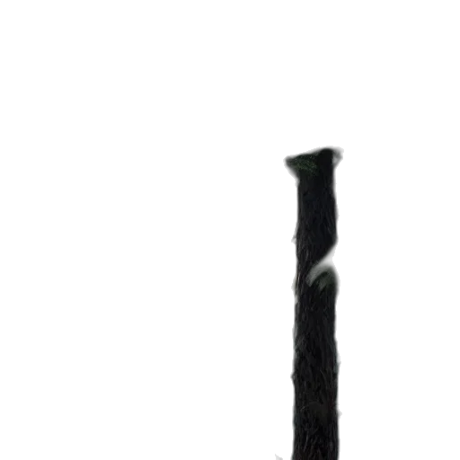 staff, sword, weapon, umbrella transparent PNG cut-out