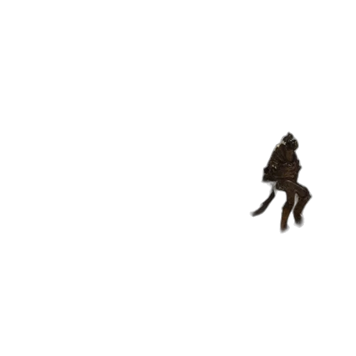 robot, creature, animal, shoes transparent PNG cut-out