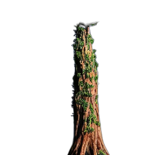 tree, staff, sword, crown transparent PNG cut-out