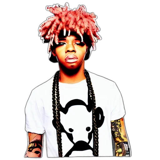 animal, creature, hat, hair transparent PNG cut-out