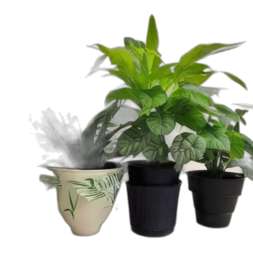 3d render, photorealistic, house, plants transparent PNG cut-out