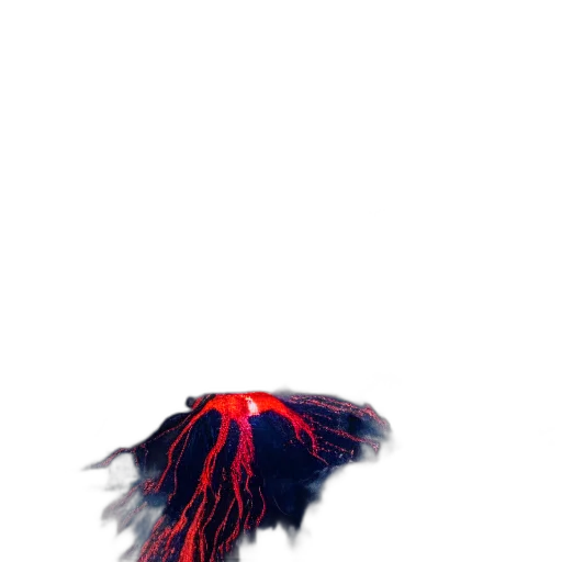 animal, hair, creature, dragon transparent PNG cut-out