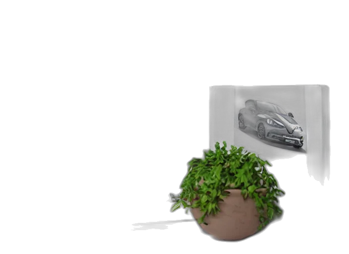car, shoes, tree, hat transparent PNG cut-out
