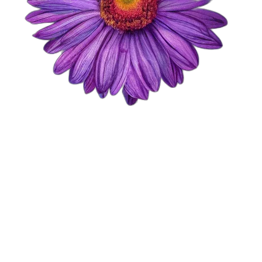 flower, crown, jewelry, staff transparent PNG cut-out