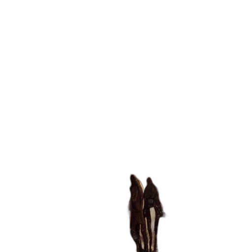 shoes, animal, staff, dress transparent PNG cut-out