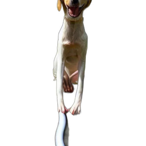 staff, animal, creature, weapon transparent PNG cut-out