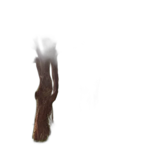 hair, creature, dress, shoes transparent PNG cut-out