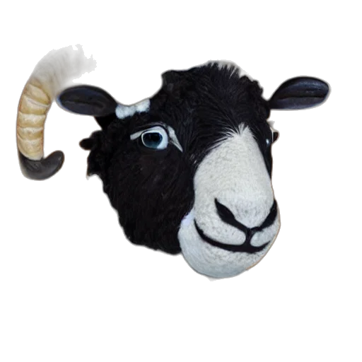 animal, face, staff, hat transparent PNG cut-out
