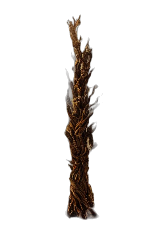 hair, staff, crown, tree transparent PNG cut-out