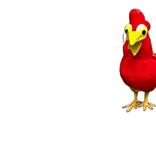 animal, food, creature, hat transparent PNG cut-out