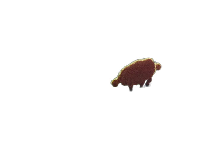 animal, creature, food, hair transparent PNG cut-out