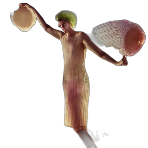 dress, food, hat, hair transparent PNG cut-out