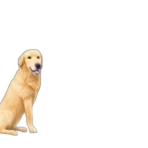 animal, creature, weapon, staff transparent PNG cut-out