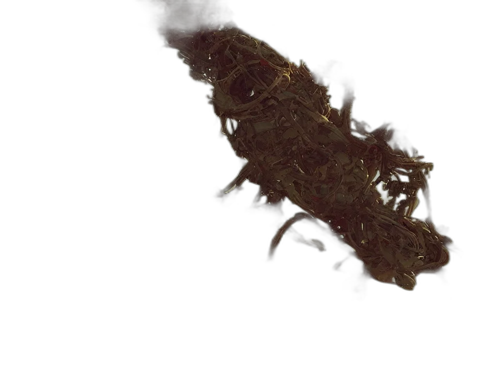 hair, dragon, staff, creature transparent PNG cut-out