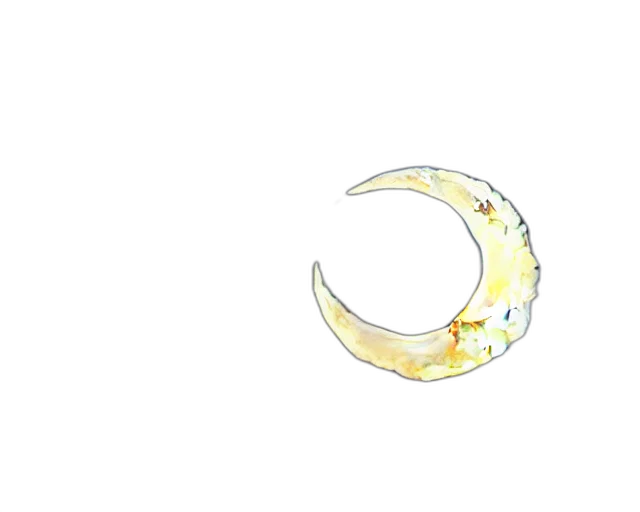 dragon, staff, jewelry, mask transparent PNG cut-out
