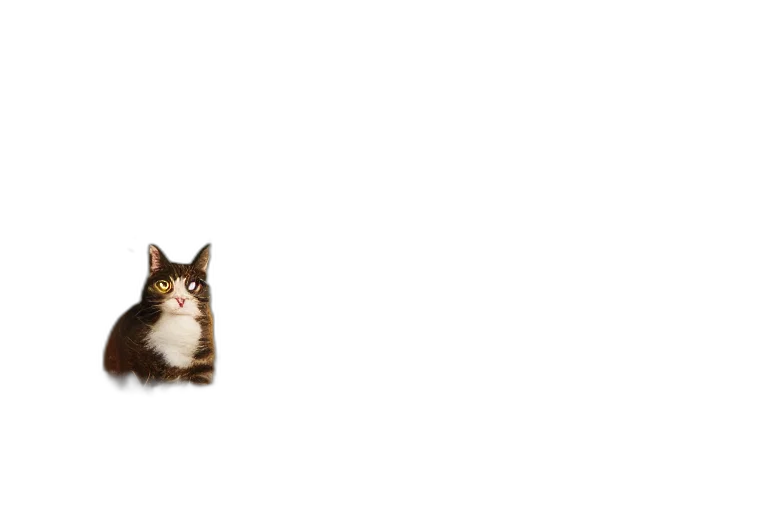 animal, creature, food, staff transparent PNG cut-out
