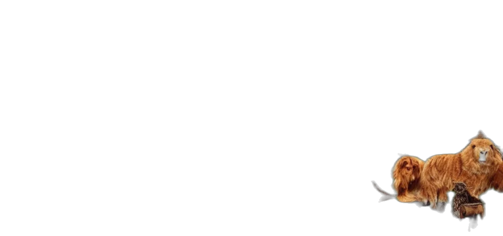 staff, face, monochrome, pastel transparent PNG cut-out