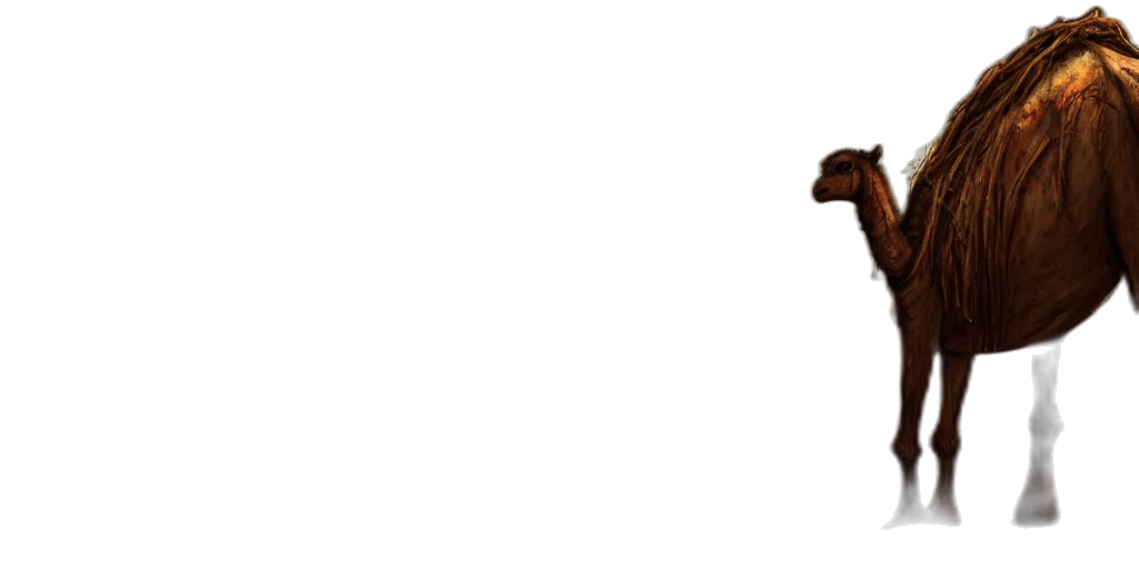hat, animal, shoes, staff transparent PNG cut-out