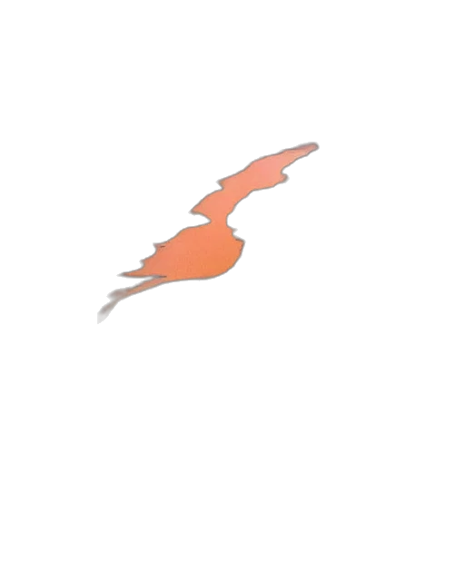 dragon, animal, staff, weapon transparent PNG cut-out