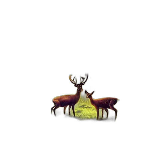 animal, creature, crown, hat transparent PNG cut-out