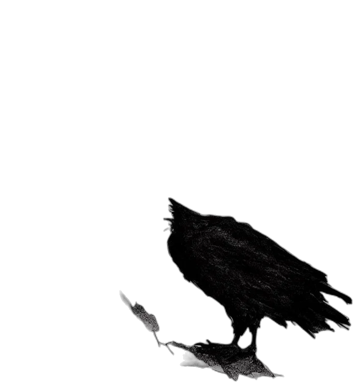 animal, creature, mask, dress transparent PNG cut-out