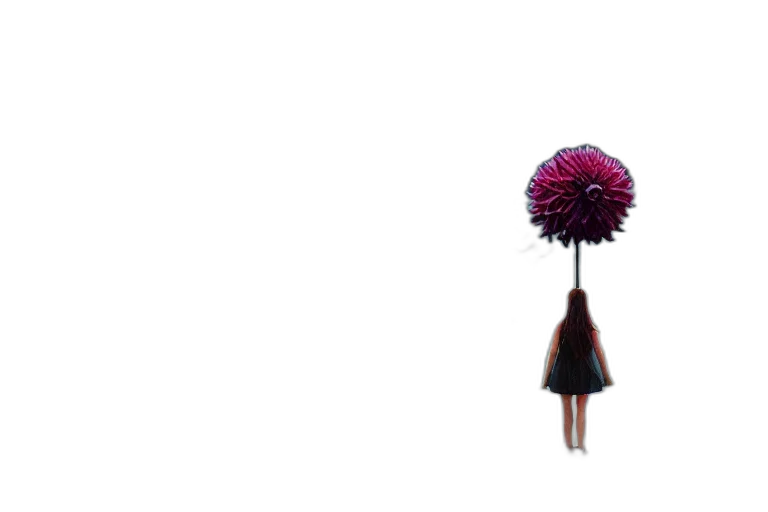 umbrella, flower, dress, hair transparent PNG cut-out