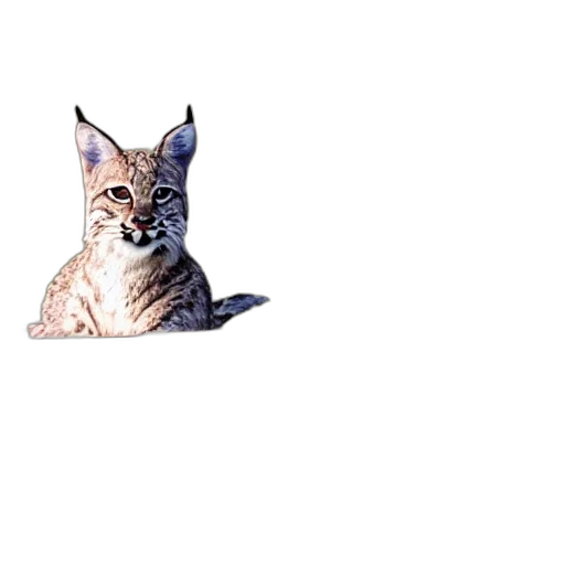 animal, staff, creature, face transparent PNG cut-out