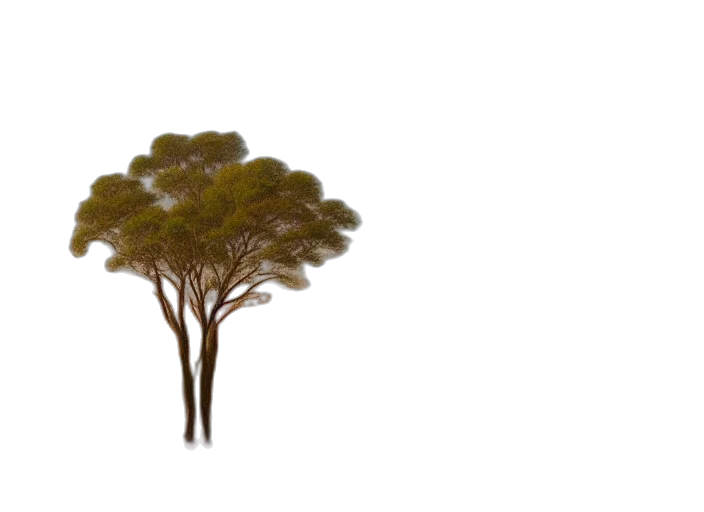 tree, crown, hair, creature transparent PNG cut-out