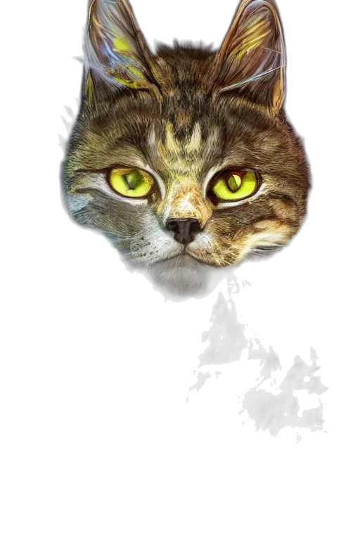 animal, face, creature, staff transparent PNG cut-out