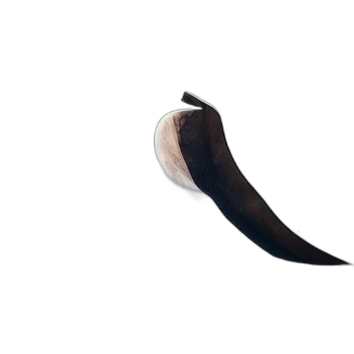 shoes, food, weapon, staff transparent PNG cut-out