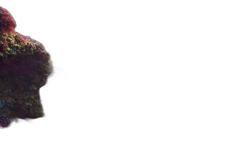hair, crown, hat, mask transparent PNG cut-out