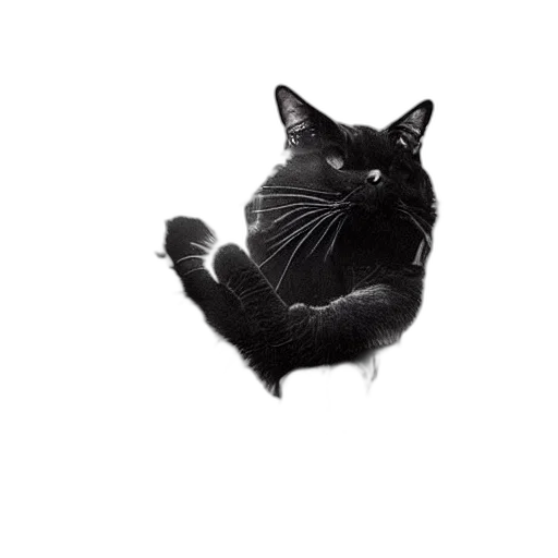 animal, creature, staff, face transparent PNG cut-out