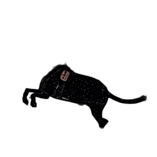 animal, hat, staff, creature transparent PNG cut-out