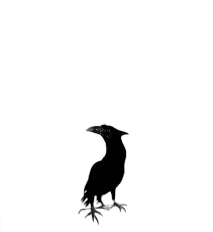 animal, creature, dragon, dress transparent PNG cut-out