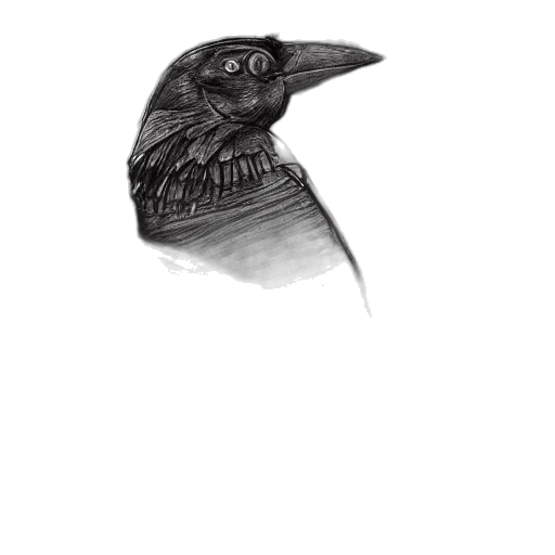 animal, face, hat, creature transparent PNG cut-out