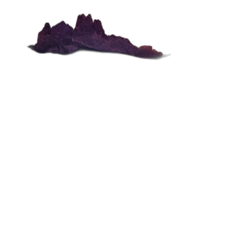 shoes, hat, crown, hair transparent PNG cut-out