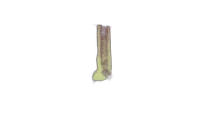 staff, weapon, jewelry, food transparent PNG cut-out