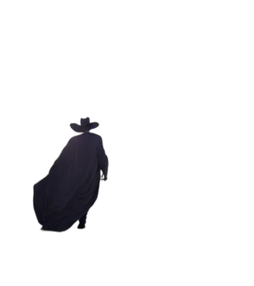 hat, dress, animal, jacket transparent PNG cut-out