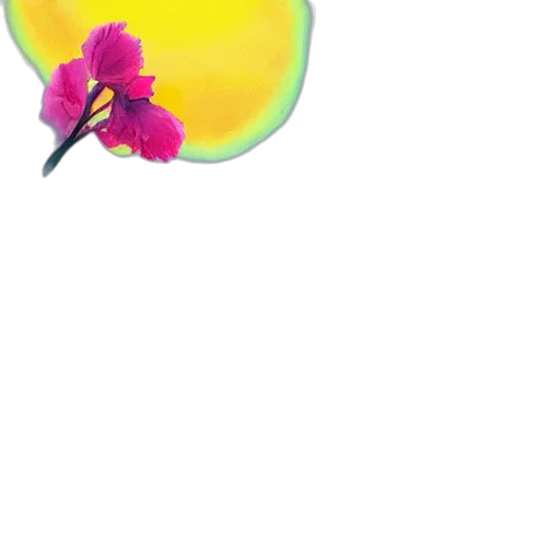 flower, umbrella, hat, staff transparent PNG cut-out