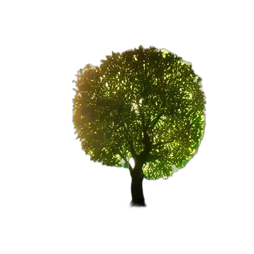 tree, crown, hair, animal transparent PNG cut-out