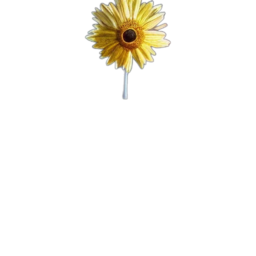 flower, jewelry, staff, crown transparent PNG cut-out