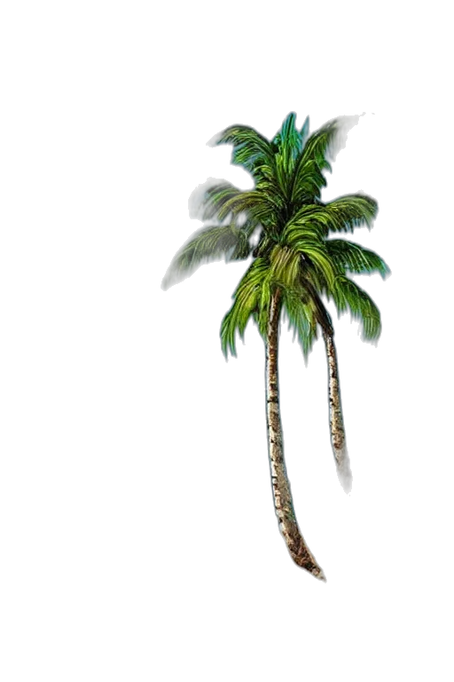 tree, hat, weapon, staff transparent PNG cut-out