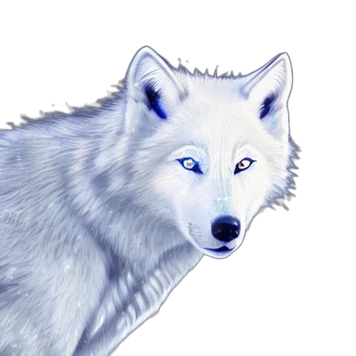 animal, face, creature, jewelry transparent PNG cut-out