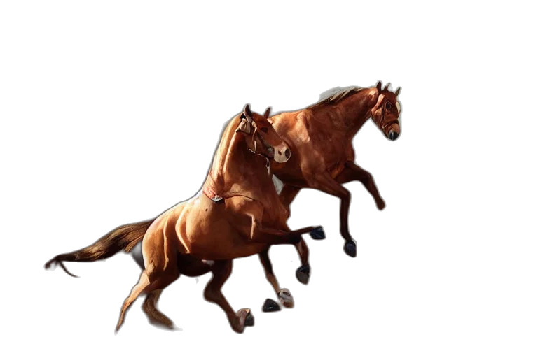 animal, concept art, photorealistic, 3d render transparent PNG cut-out