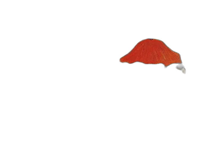 hat, umbrella, mask, shoes transparent PNG cut-out