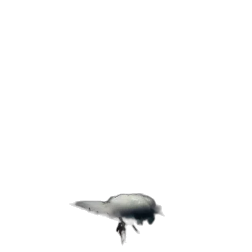 umbrella, hat, robot, animal transparent PNG cut-out